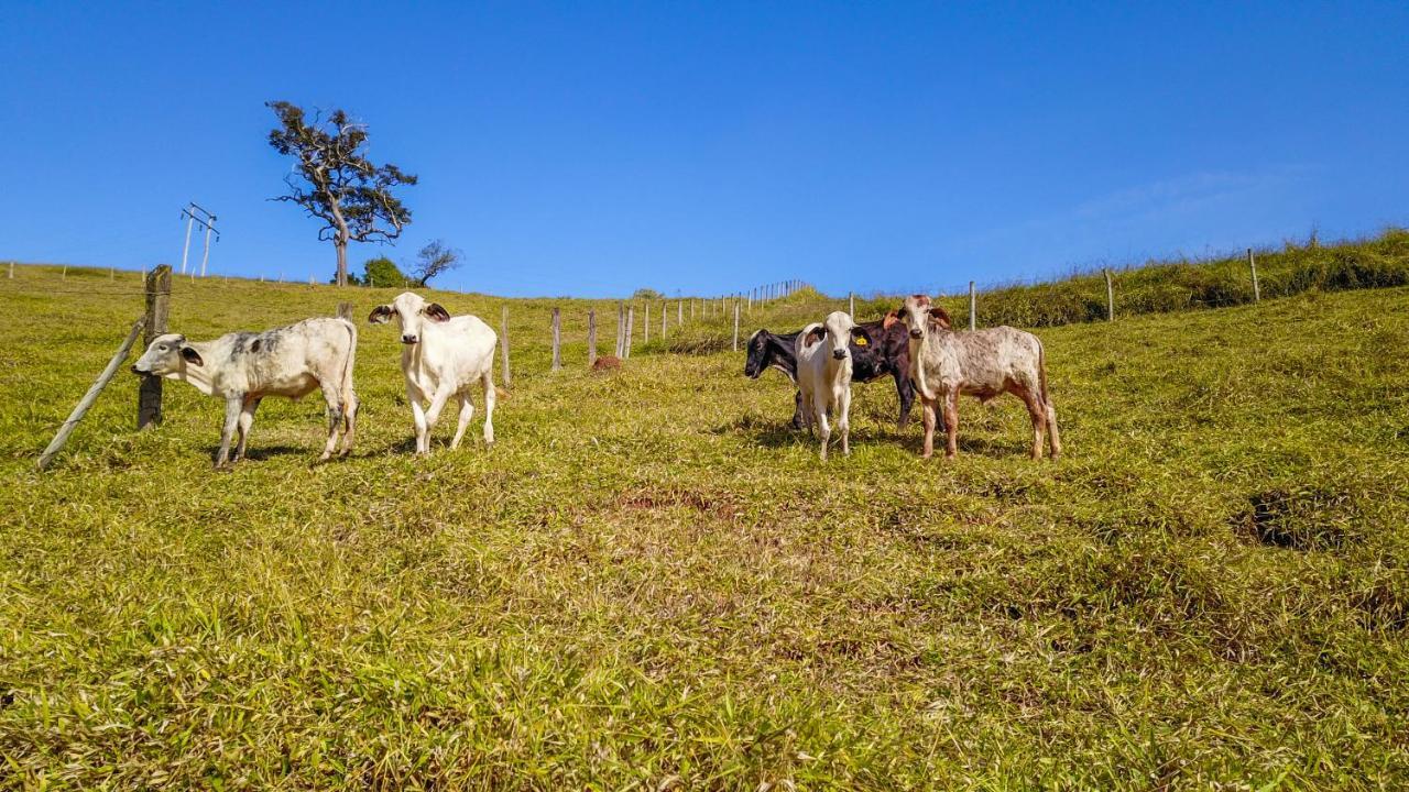 Pousada Sonho Meu Itanhandu Bagian luar foto