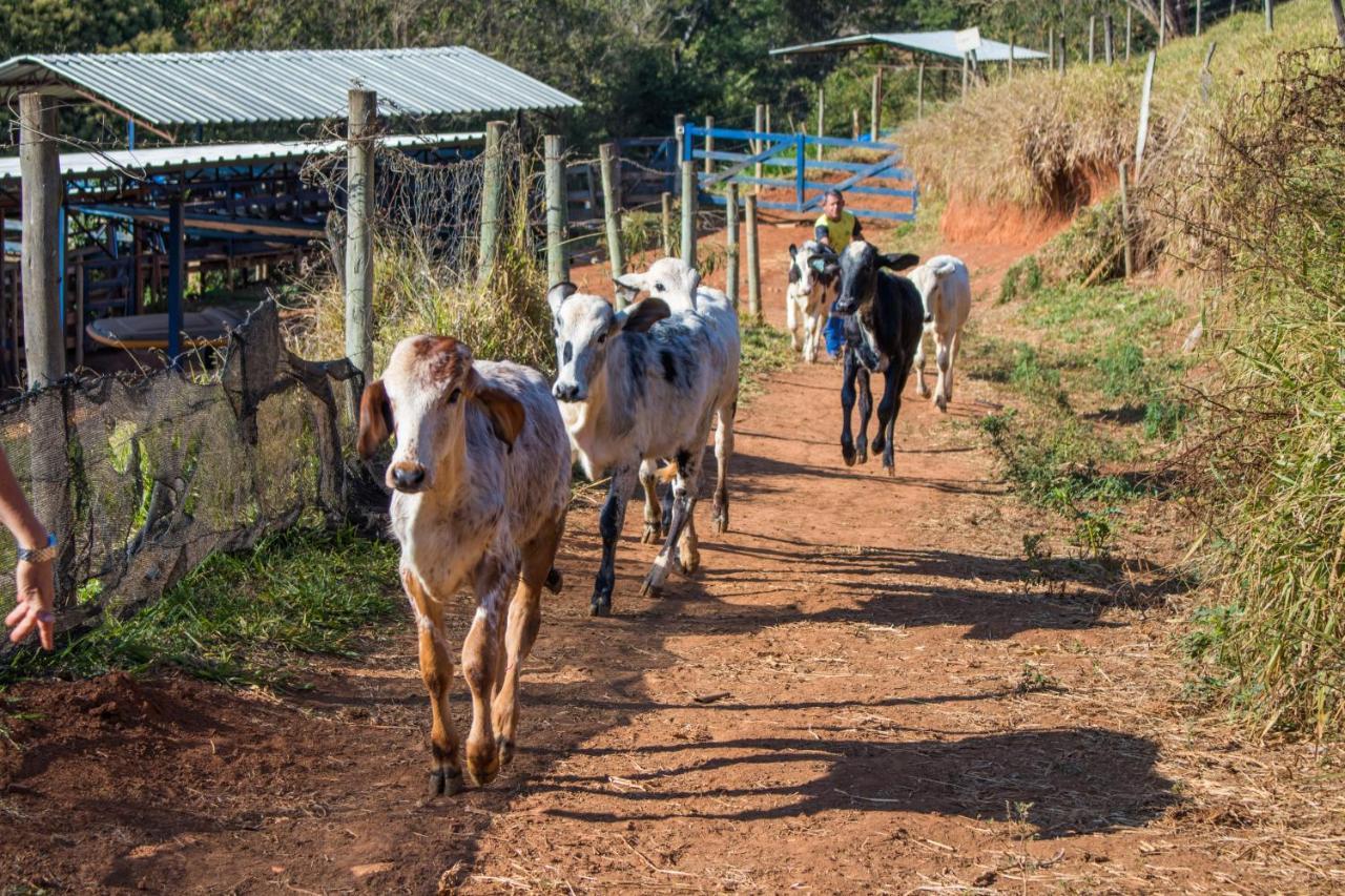 Pousada Sonho Meu Itanhandu Bagian luar foto