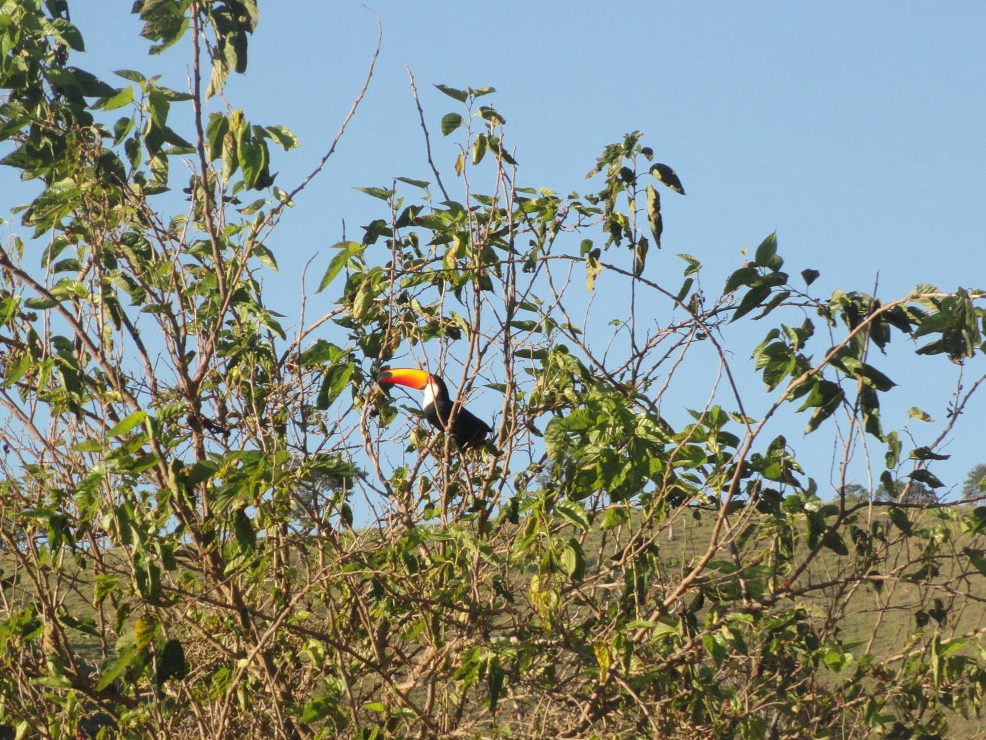 Pousada Sonho Meu Itanhandu Bagian luar foto